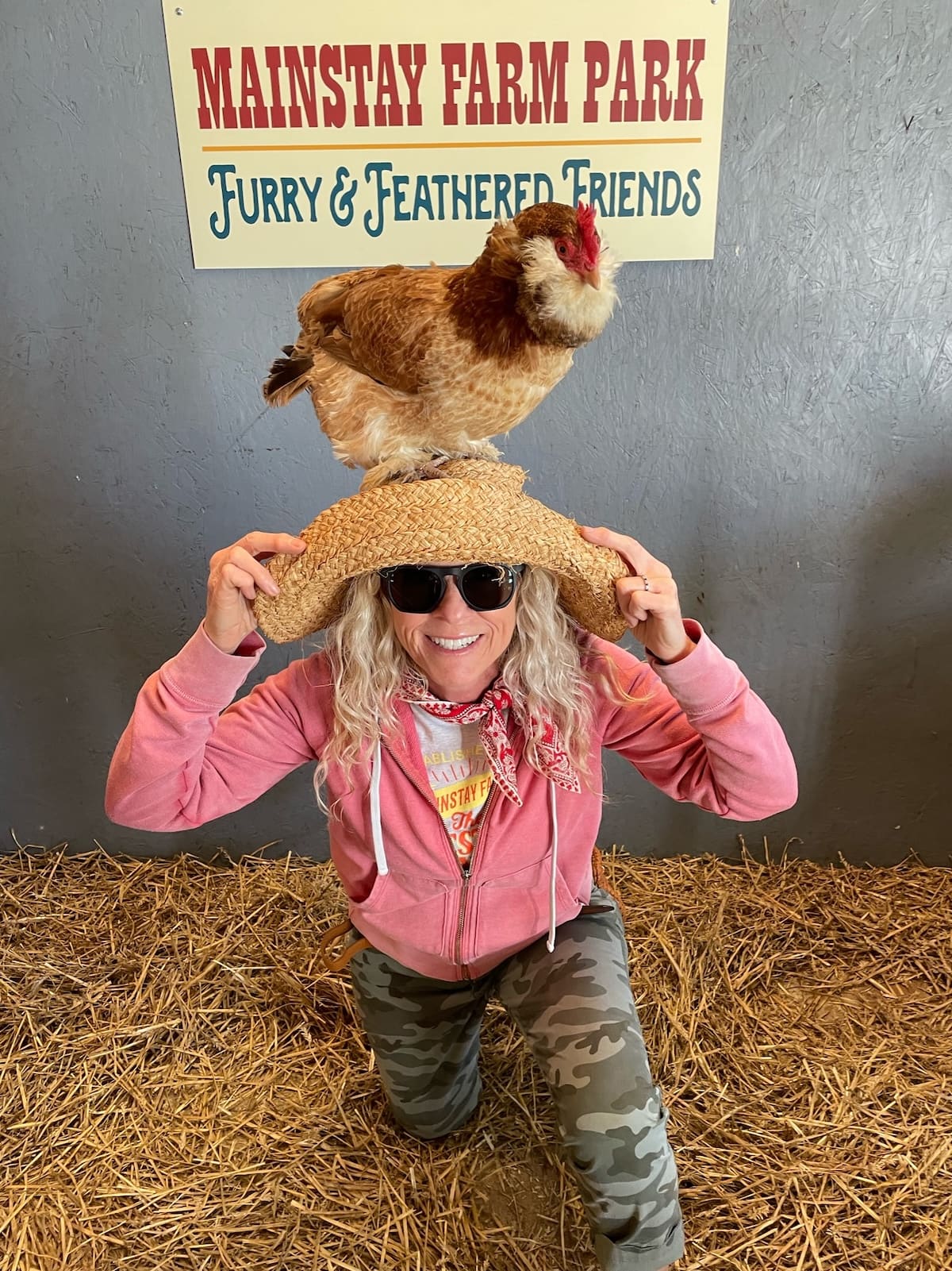Chicken on Head at Mainstay Farms